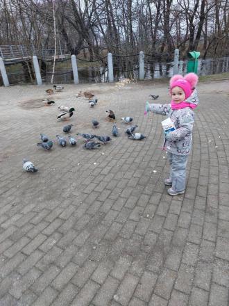 /Files/images/2024-2025/lyutiy/den_goduvannya_ptahv/photo_2025-02-05_10-18-55.jpg